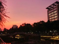 -广西医科大学第一附属医院