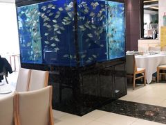 大堂-原鄉本味 楚菜 丹江口鱼(北苑店)