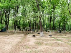 -亲兄弟真人CS团建拓展基地