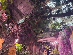 -正佳雨林生态植物园