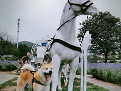 -静之湖度假区