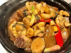 -新兴·金羊座·粤菜点心(乐峰店)