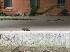 -苏州大学独墅湖校区-第5食堂