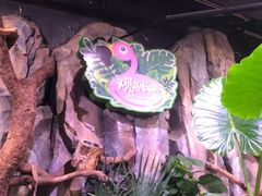 -正佳雨林生态植物园