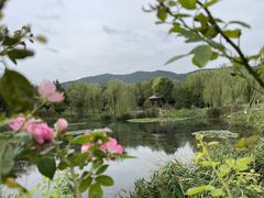 -习家池