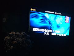 -黑桃K生日订制KTV