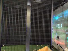 -VS SPORTS PARK运动玩乐园·团建·生日会(合生汇店)
