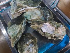 原只蒸生蚝-蚝得喜海鲜(东城店)