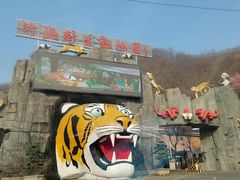 -栾川竹海野生动物园