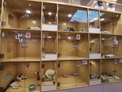 -屋虎猫馆(宝安大仟里店)