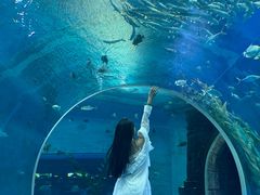 -哈尔滨波塞冬海底世界