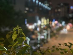 -289艺术PARK
