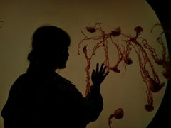 -沈阳海洋探索中心