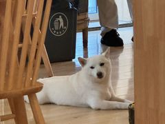 -柴の食堂·日式家庭料理·熊之肆(大学路店)