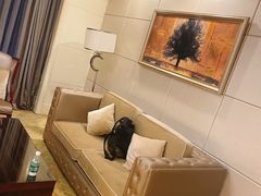 -碧桂园凤凰城酒店(南京店)