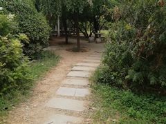 -北京师范大学附属中学