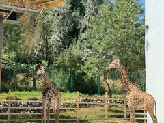 -水上乐园·欢乐世界