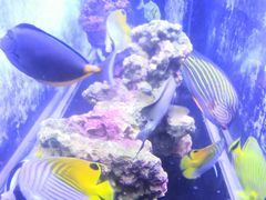 -五缘湾悦都汇购物中心