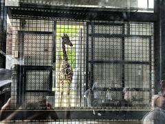 -苏州上方山国家森林公园
