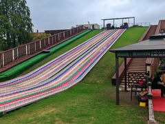 -黄海国家森林公园