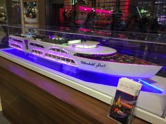 -大珍珠号夜游湄南河