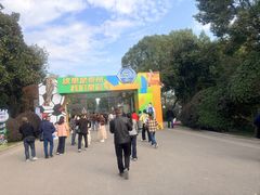 -溱湖国家湿地公园