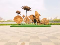 -莲花池公园