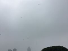 -万绿园