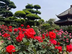 -南宁南湖公园