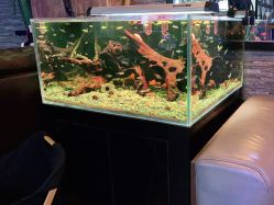 -青木造型HAIR·あおき髪を刈る潮人店