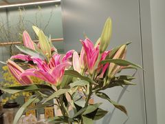 -南堂馆·新川菜(春熙路店)