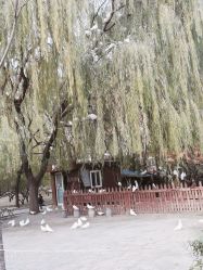 -郑州市世纪公园