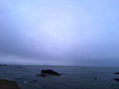 -蟹之国·精品蟹料理(极地店)