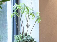 -幸薈飯堂