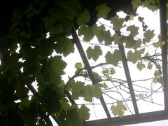android_upload_pic-吴门人家·苏宴宫廷菜(拙政园店)