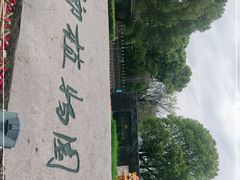 -桐乡植物园