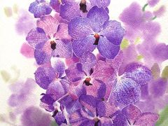 -八哥美术·成人美术画室(总校区)