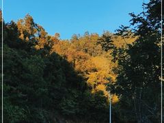 -火炉山森林公园
