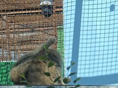 -青藏高原野生动物园