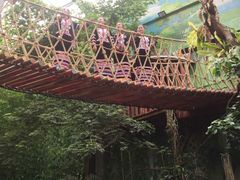 -呀路古热带植物园-恐龙馆