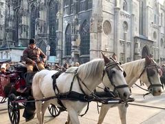 -斯蒂芬主教座堂(Stephansdom)