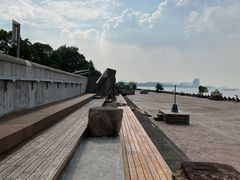 -上海滨江森林公园