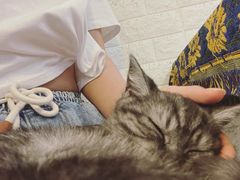-平行世界·猫咖(首经贸店)