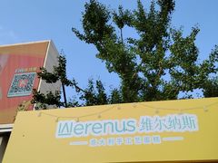 -维尔纳斯·生日蛋糕动物奶油冰淇淋蛋糕(人大店)