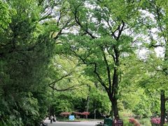 -灵谷景区