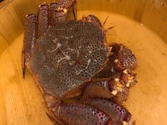 -蟹田居·活蟹料理(东城店)