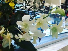 -Fridi Patisserie Cafe