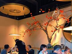 -佬肥猫(国华广场店)