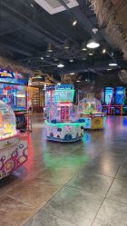 -卡通尼·Safari非洲探索乐园·生日会(金桥国际商业广场店)