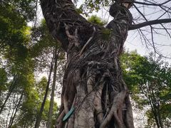 -重庆中央公园(渝北区)